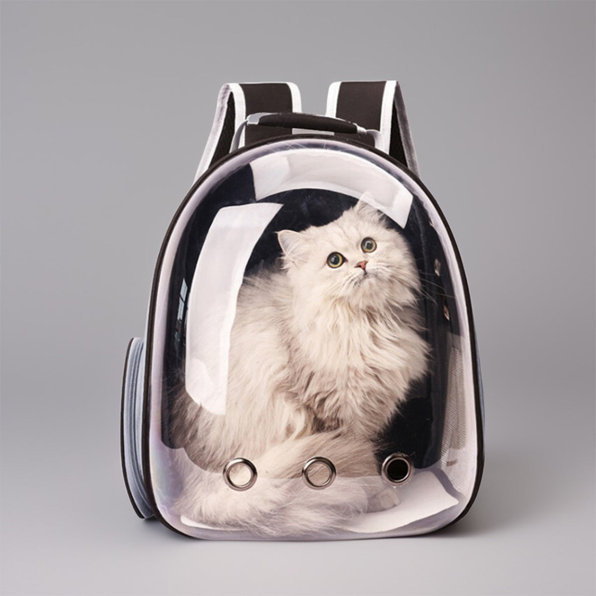 Cat Bags