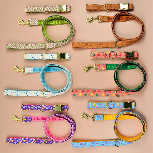 Colorful Luxury Dog Collar and Leash Set for All Sizes