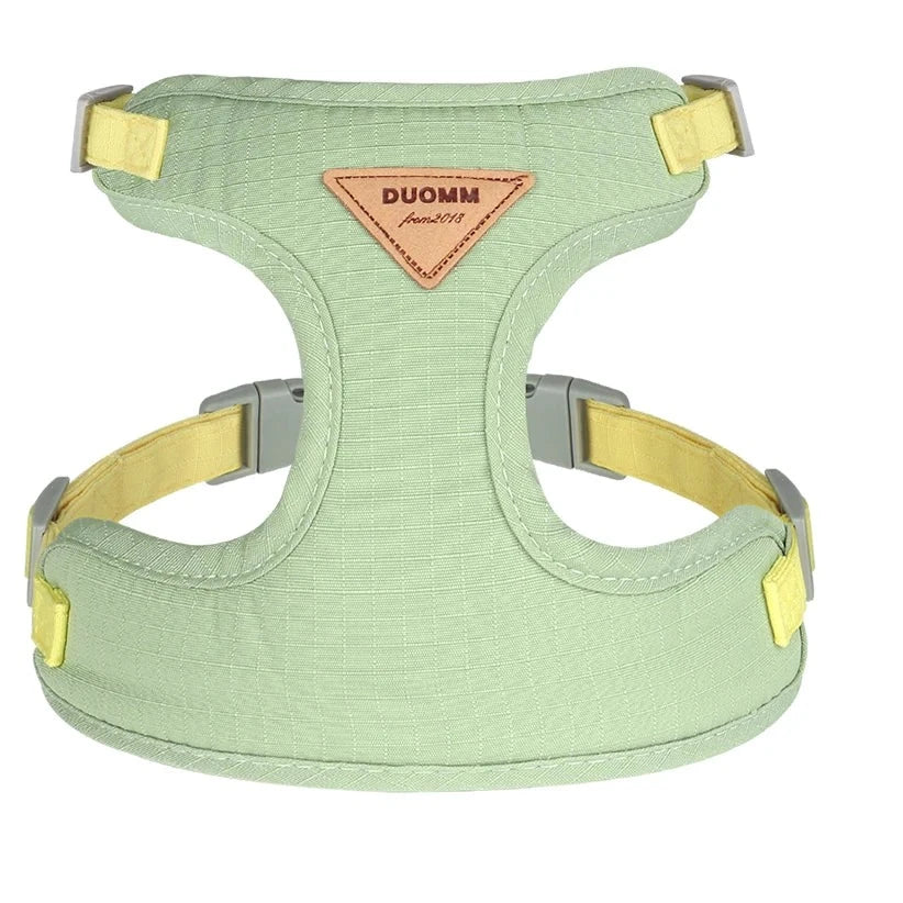 Cat Harness Set