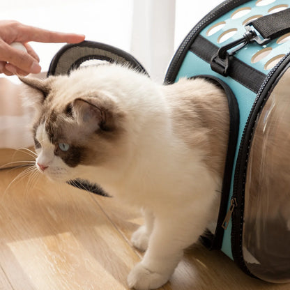 Transparent Space Capsule Cat Carrier Bag for Travel.