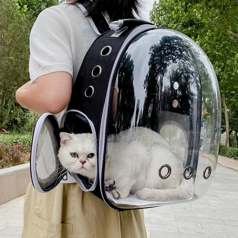 Cat Breathable Carrying Bag