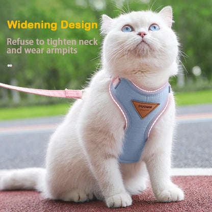 Cat Harness Set