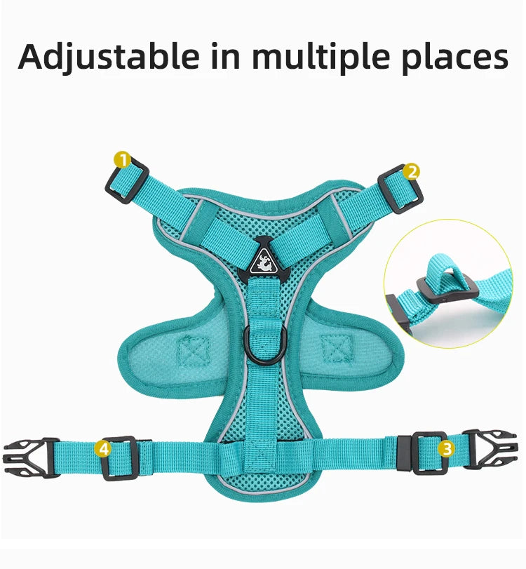 Adjustable Reflective Dog Harness and Leash Set for Small Dogs