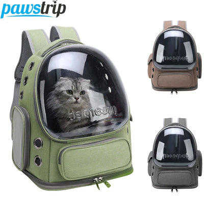 Cat Transparent Travel Bag