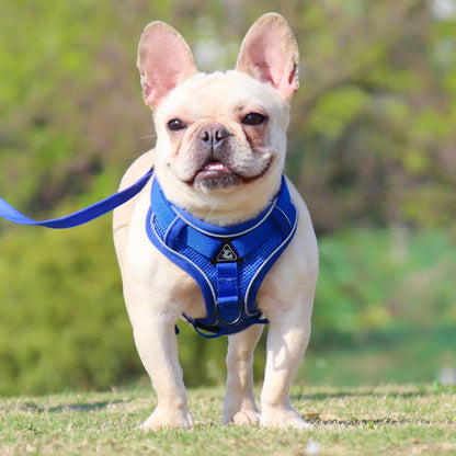 Adjustable Reflective Dog Harness and Leash Set for Small Dogs