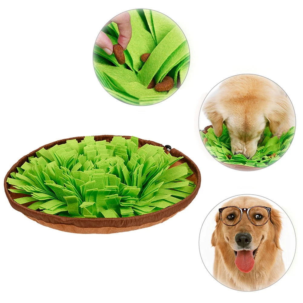 Interactive Snuffle Mat for Slow Feeding Fun