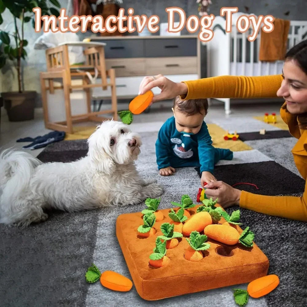 Carrot Snuffle Mat: Interactive Stress Relief Toy