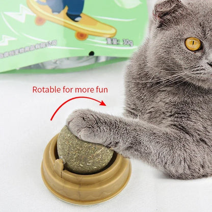 Rotatable Catnip Ball: Healthy Snack and Dental Toy