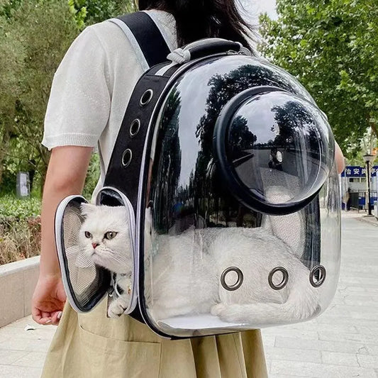 Cat Breathable Carrying Bag