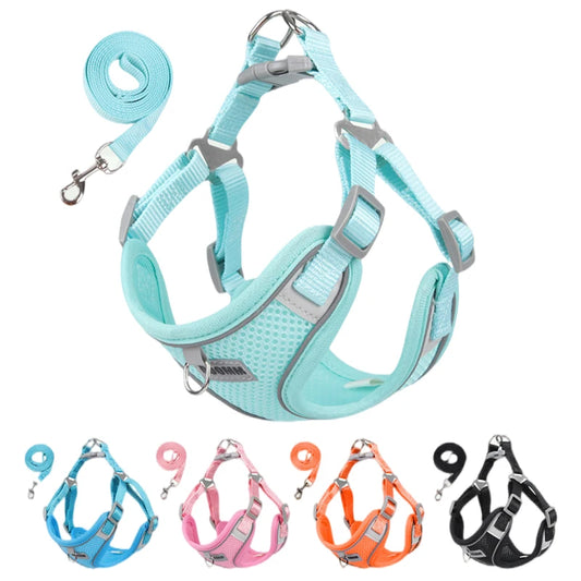 Reflective Dog Harness and Leash Set for Outdoor Adventures