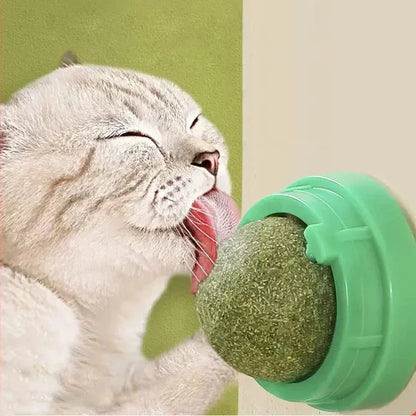 Rotatable Catnip Ball: Healthy Snack and Dental Toy