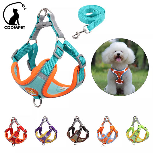 Adjustable Reflective Dog Harness and Leash Set for Small Dogs