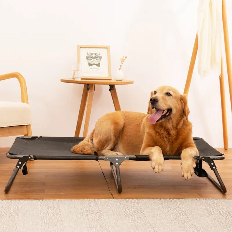 Anti-Moisture Chew-Proof Dog Bed: Breathable and Foldable