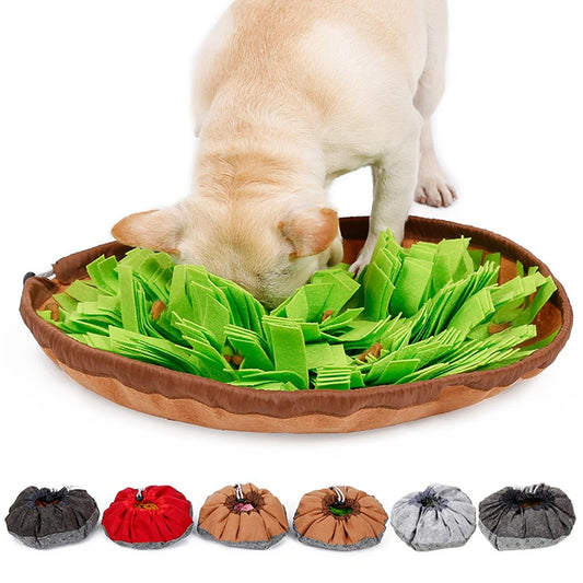 Interactive Snuffle Mat for Slow Feeding Fun