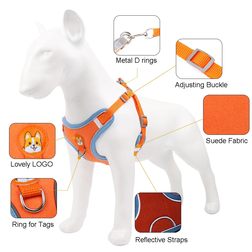 Adjustable Reflective Dog Harness and Leash Set for Small Dogs