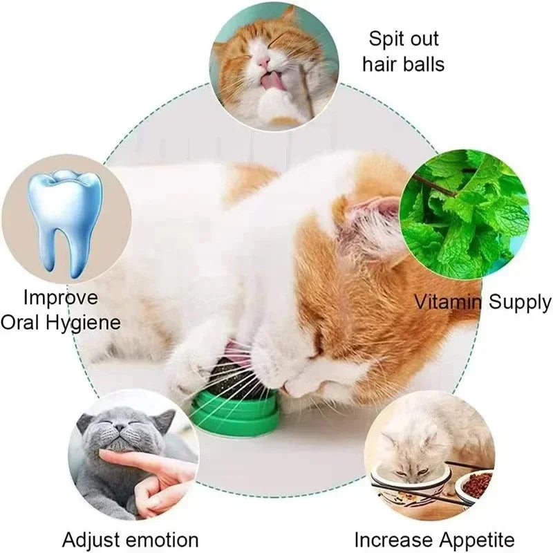 Rotatable Catnip Ball: Healthy Snack and Dental Toy