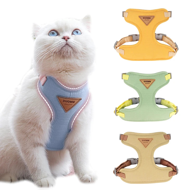 Cat Harness Set