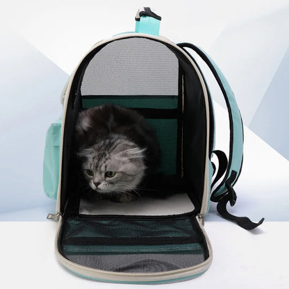 Windproof Cat Backpack for Travel with Comfortable Cushion.