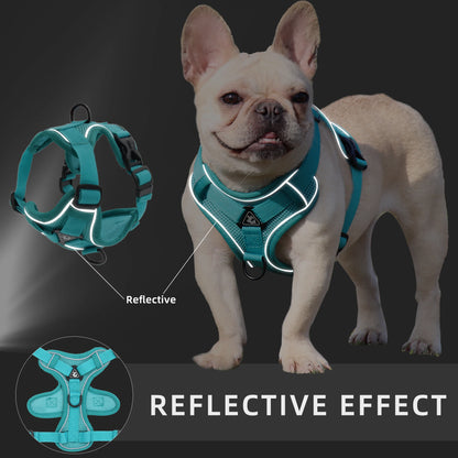 Mesh Breathable Dog Harness