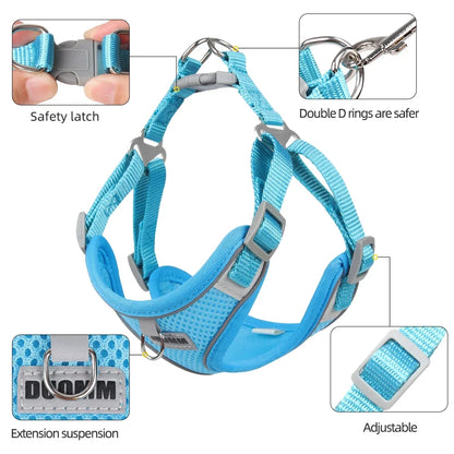 Reflective Dog Harness and Leash Set for Outdoor Adventures